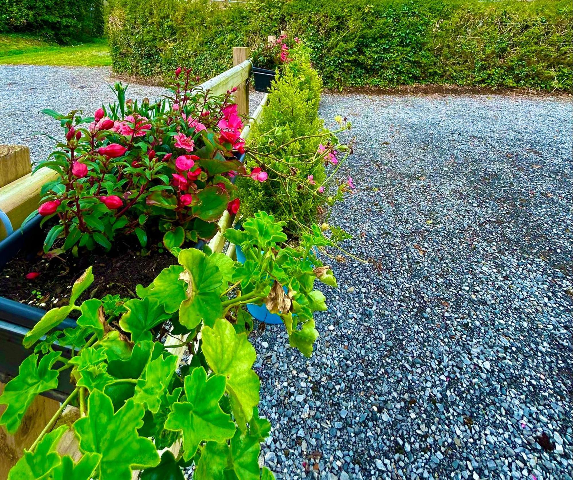 Lime Tree House Villa Maguires Bridge Екстериор снимка